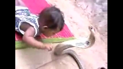 Human Vs Reptile! A lesson to be learned to fight evil!