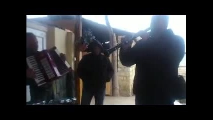 samorai dolna studena