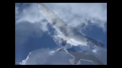 Fly Away With Me