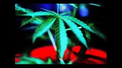 Vlizam V Toia Film - Young Daddy ft. Vatrix ( New 2011)