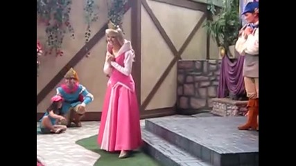 Sleeping Beauty - Princess Aurora Storytime at Disneyland