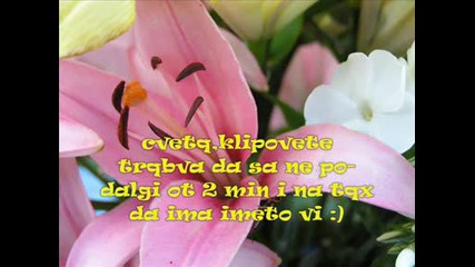 rezyltati ot 2riq mi konkyrs :)
