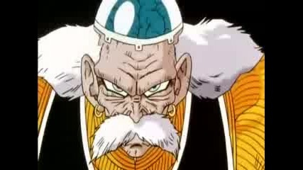 Dbz 133