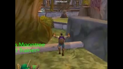 World of Warcraft - Gameplay