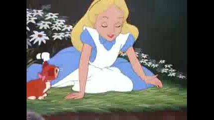 Alice In Wonderland - World Of My Own