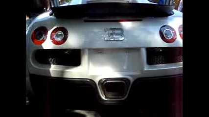 Maserati Mc12 Bugatti Veyron Carrera Gt Lambos Ferrari