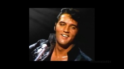 Elvis Presley - Too Much Monkey Business