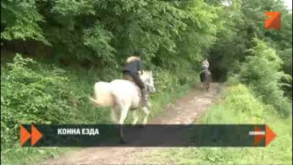 Конна езда