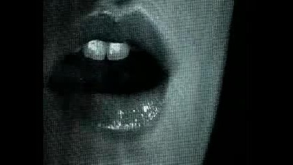 Schiller - Everything