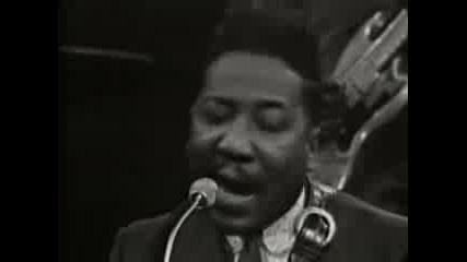 Muddy Waters James Cotton