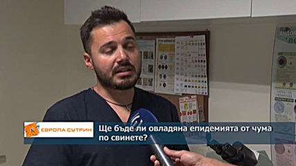 Има ли опасност чумата по свинете да достигне София?