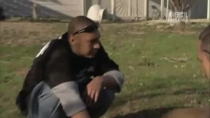 Pit Bulls and Parolees - The Parolees Bond 