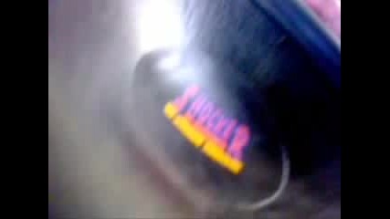 Shoker Bass (2)