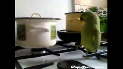 Смях Най Откаченият Готвач