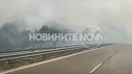 Пожар на изхода на град Плевен (ВИДЕО)