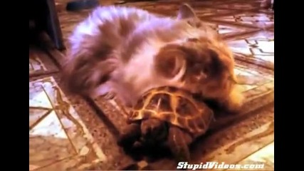 Любовта няма граници !
