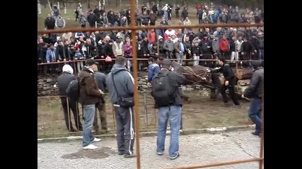 Тодоров ден с.варвара 30.03.2013
