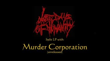 Last Days Of Humanity - From flesh to liquid mess+stirred.flv