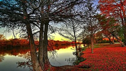 El Otoo - Msica Autumn Sunset