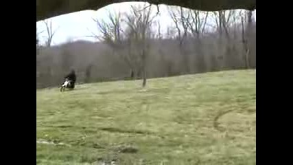Dirt Bikers Disturbing Bigfoot Video