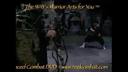 Reel Combat - Fastest Hands In The World