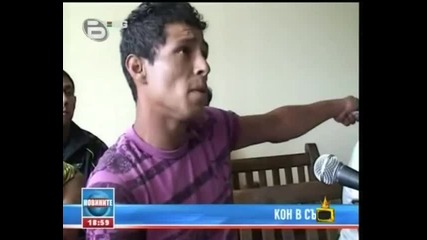 Gospodari na Efira - Kon na Lizing