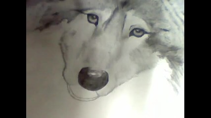 рисуване на Вълк 