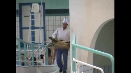 Remi Gaillard готви както само той знае