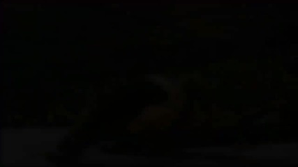 jeff hardy mv
