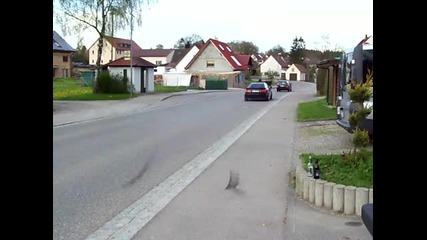 Audi Coupe