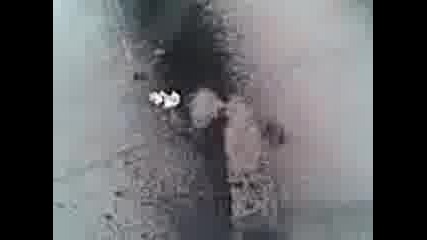 Видео001
