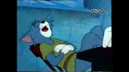 Tom And Jerry - Robin Hoodwinked