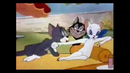 Tom & Jerry 16