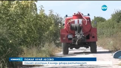 Пожарът в Лесово е унищожил 4 хиляди декара