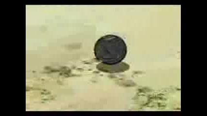 Bakugan New Vestroia Episode 32 Shadow Attack Hq Part 2