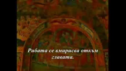 Мъдростта На Народите - Български Поговорки Супер Забавно