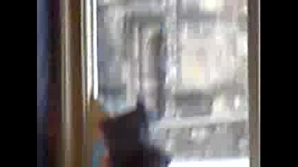 Ето какво причинява алкохола