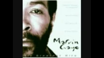 Marvin Gaye - Sunny (1966)