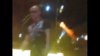 wisin y yandel abusadora