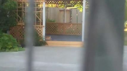 Котки