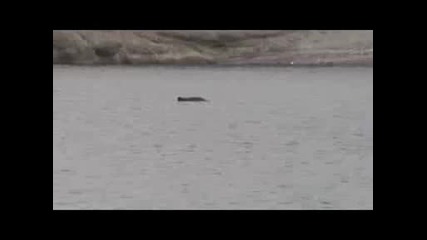 Реклама На България По Cnn