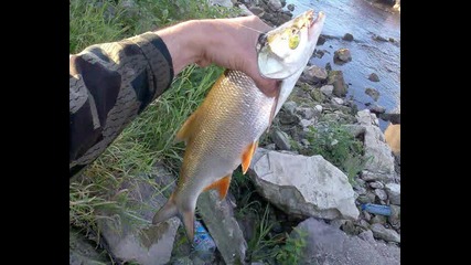 Spinning Fishing 2011