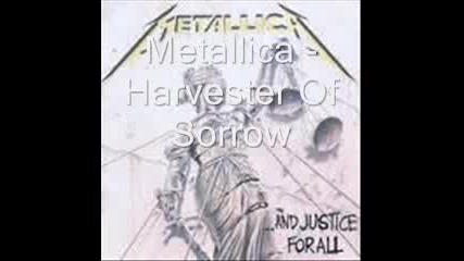 Metallica - Harvester Of Sorrow (with lyrics) 