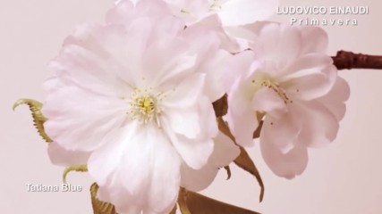 Пролет - Ludovico Einaudi Amazing Piano Music
