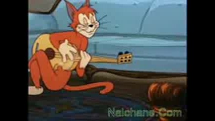 Tom And Jerry
