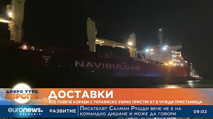Все повече украински кораби със зърно пристигат в чужди пристанища