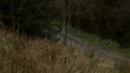 Само за Rally фенове! 2012