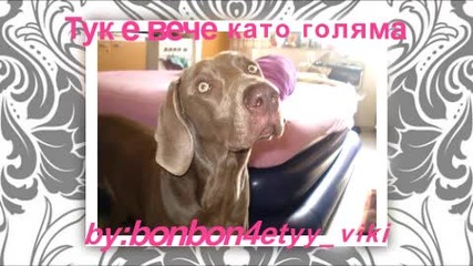 Моето миличко кученце