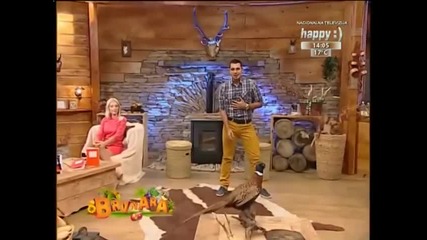 Bojan Bjelic - Prolazna kriza - Brvnara - (tv Happy 2012) bg sub