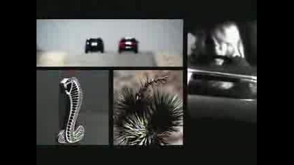 Kelly Clarkson - Go (official Music Video)